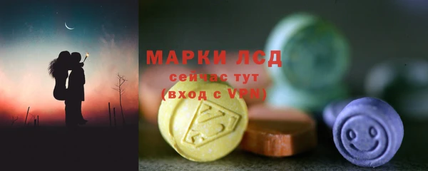 apvp Гатчина