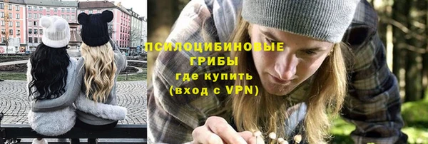 дурь Струнино