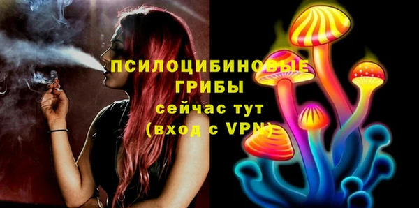 дурь Струнино
